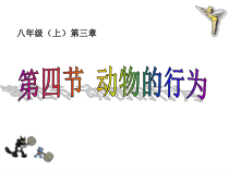 3.4《动物的行为》PPT课件-八年级上册科学浙教版