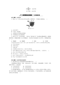 《光合作用》教案 (3)-八年级下册科学浙教版