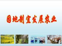 《第一节 因地制宜发展农业》PPT课件3-星球版地理八年级上册