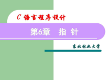 C语言程序设计_第6章_指针课件