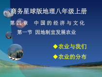《第一节 因地制宜发展农业》PPT课件6-星球版地理八年级上册