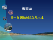 《第一节 因地制宜发展农业》PPT课件5-星球版地理八年级上册