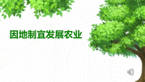 《第一节 因地制宜发展农业》PPT课件7-星球版地理八年级上册