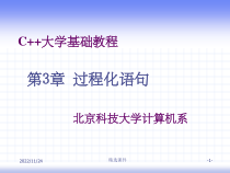 C++大学基础教程第三章课件