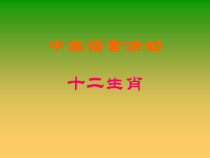 中班语言活动《十二生肖》课件汇编