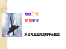 VisualRules快速开发介绍课件