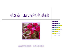 java程序设计教程第3章Java程序基础课件
