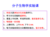 PCR引物设计及相关软件数据裤的使用课件