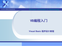 vb编程入门简单易懂课件