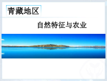 《第一节 区域特征》PPT课件11-星球版地理八年级下册