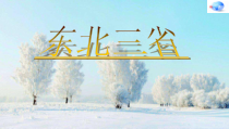 《第二节 东北三省》PPT课件2-星球版地理八年级下册