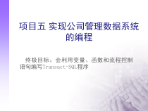 实现公司管理数据系统的编程课件