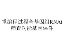 重编程过程全基因组RNAi筛查功能基因课件