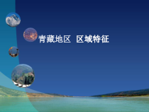 《第一节 区域特征》PPT课件2-星球版地理八年级下册