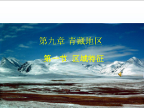 《第一节 区域特征》PPT课件4-星球版地理八年级下册