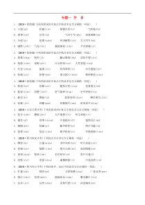 中考语文专题复习专题一字音训练（含答案）