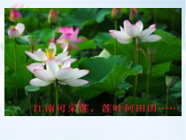 《第一节 区域特征》PPT课件3-星球版地理八年级下册