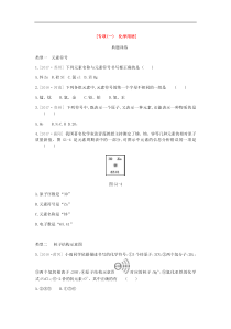 中考化学复习第一篇基础过关篇 专项一《化学用语》练习 (含答案)