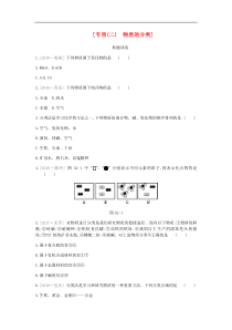 中考化学复习第一篇基础过关篇 专项二《物质的分类》练习 (含答案)