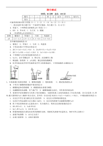 鲁教版九年级化学下册期中测试(含答案)