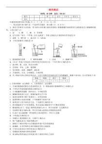 鲁教版九年级化学下册期末测试(含答案)