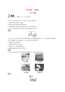 中考物理总复习优化设计 第4课时 光现象 知能优化训练 人教版(含答案) 