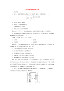 高考生物一轮复习课时跟踪检测09《ATP与细胞呼吸的过程》(含解析)