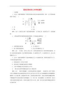 高考生物一轮复习课时跟踪检测19《基因在染色体上和伴性遗传》(含解析)
