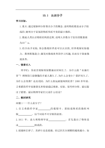沪粤版八年级物理下册 10.1 认识分子 学案