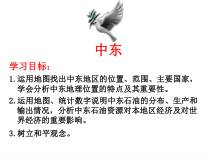 《第二节 中东》PPT课件3-科普版地理七年级下册