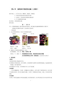 《植物的茎与物质运输》（2课时）教案 (9)-八年级下册科学浙教版