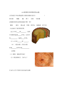 《植物的茎与物质运输》教案 (7)-八年级下册科学浙教版