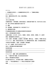 1.1《指南针为什么能指方向》教案 (2)-八年级下册科学浙教版