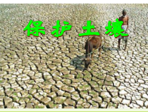 《保护土壤》PPT课件 (4)-八年级下册科学浙教版