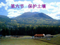 《保护土壤》PPT课件-八年级下册科学浙教版