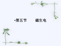 《磁生电》PPT课件-八年级下册科学浙教版