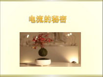 《电流的秘密》PPT课件 (3)-八年级下册科学浙教版