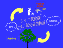 《二氧化碳》（第一课时）PPT课件-八年级下册科学浙教版