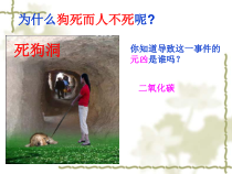 《二氧化碳》PPT课件 (8)-八年级下册科学浙教版