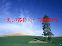 《二氧化碳》PPT课件 (11)-八年级下册科学浙教版