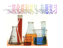 《二氧化碳和氧气》专题复习-八年级下册科学浙教版