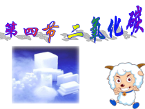 《二氧化碳》PPT课件 (4)-八年级下册科学浙教版