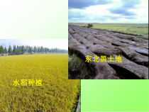 《各种各样的土壤》PPT课件 (6)-八年级下册科学浙教版