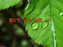 《光合作用（一）》PPT课件 (5)-八年级下册科学浙教版
