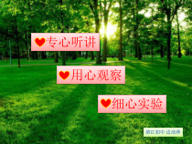 《光合作用》PPT课件 (10)-八年级下册科学浙教版