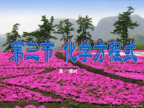 《化学方程式》（第一课时）PPT课件 (5)-八年级下册科学浙教版