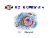 《模型、符号的建立与作用》PPT课件 (5)-八年级下册科学浙教版