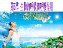 《生物的呼吸和呼吸作用》PPT课件 (3)-八年级下册科学浙教版