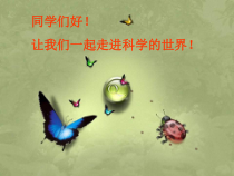 《生物的呼吸和呼吸作用》PPT课件 (5)-八年级下册科学浙教版