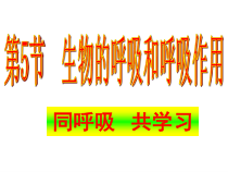 《生物的呼吸和呼吸作用》PPT课件 (8)-八年级下册科学浙教版